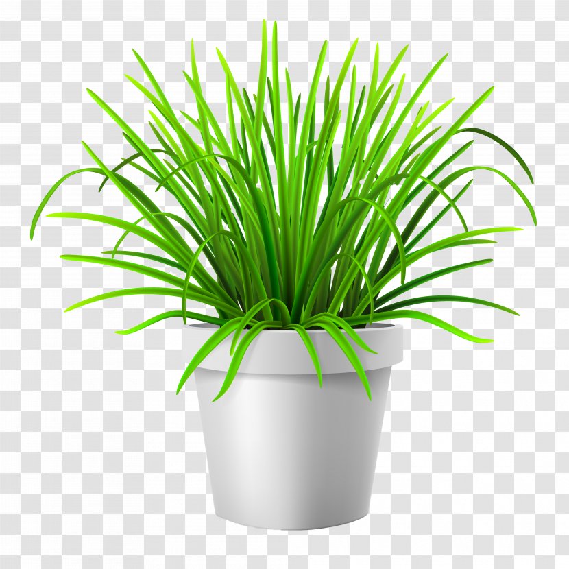 Flowerpot Lawn Vase Illustration - Tree - Vector Grass Transparent PNG