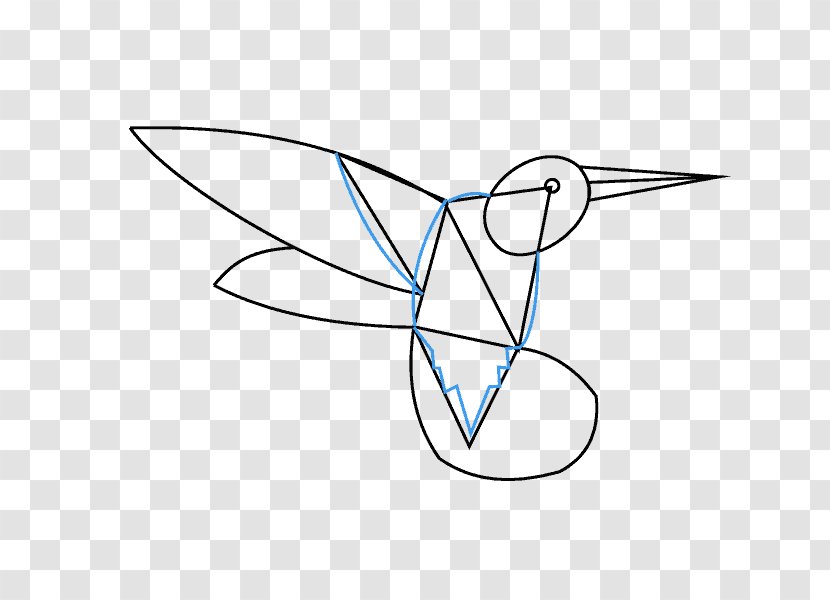 Drawing Line Art Hummingbird Clip - Wing Transparent PNG
