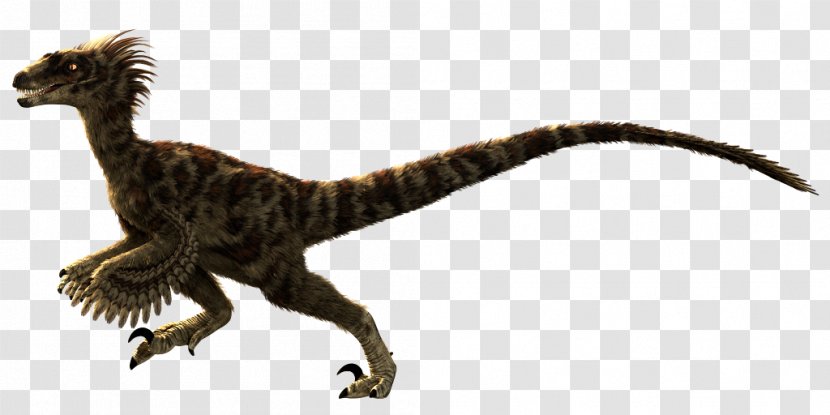 Velociraptor Primal Carnage: Extinction Dinosaur Tyrannosaurus - Feathered - Carnage Transparent PNG