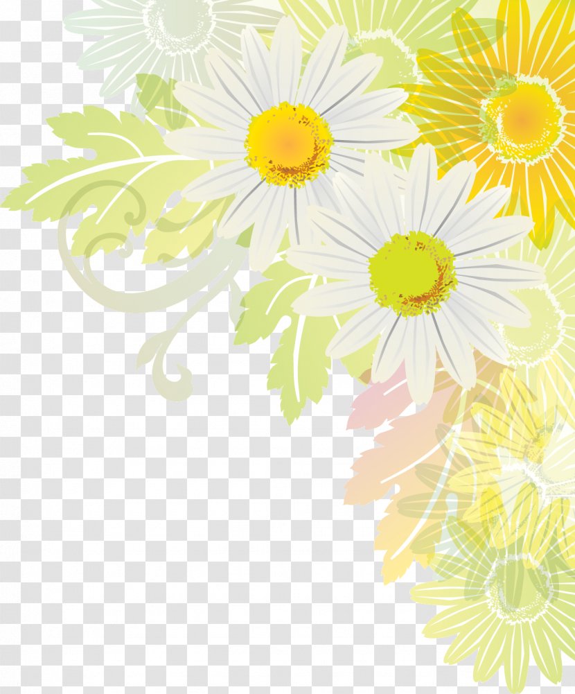Oxeye Daisy Transvaal Cut Flowers Chrysanthemum Floral Design - Cosmos Flower Transparent PNG