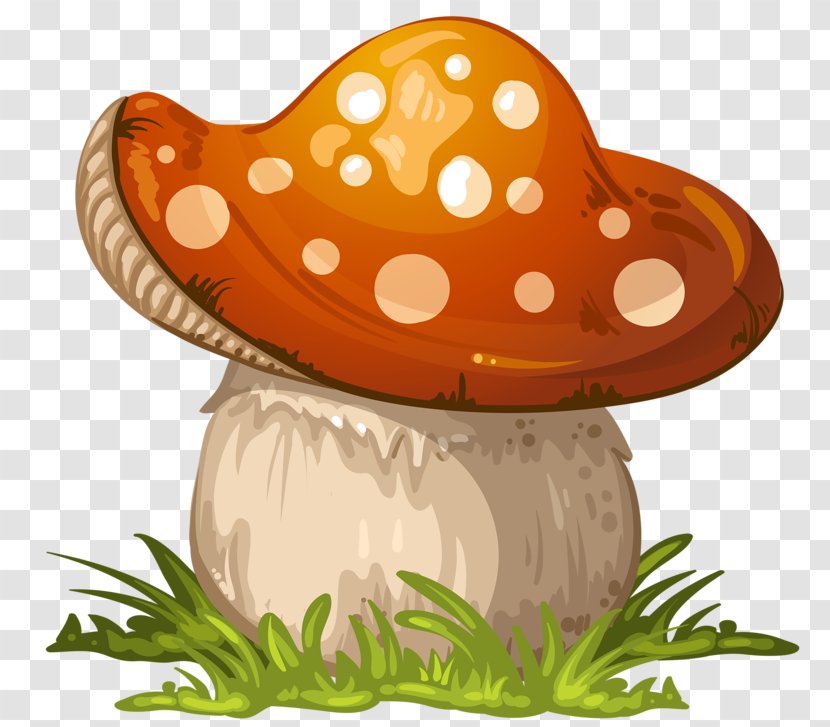 Fungus Mushroom Clip Art - Amanita - Plump Mushrooms Transparent PNG