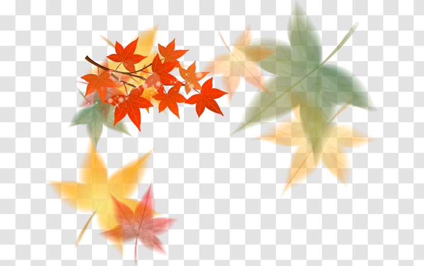 Euclidean Vector Maple Leaf - Orange - Modern Autumn Leaves Background Material Free Dig Transparent PNG