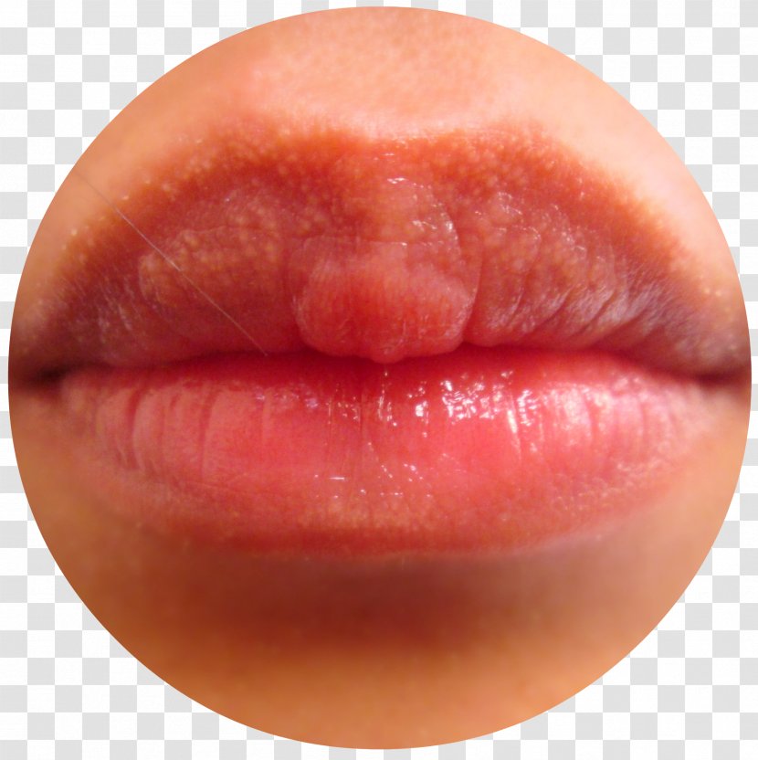 Lip Balm Mouth Lipstick Gloss - Red Lips Transparent PNG