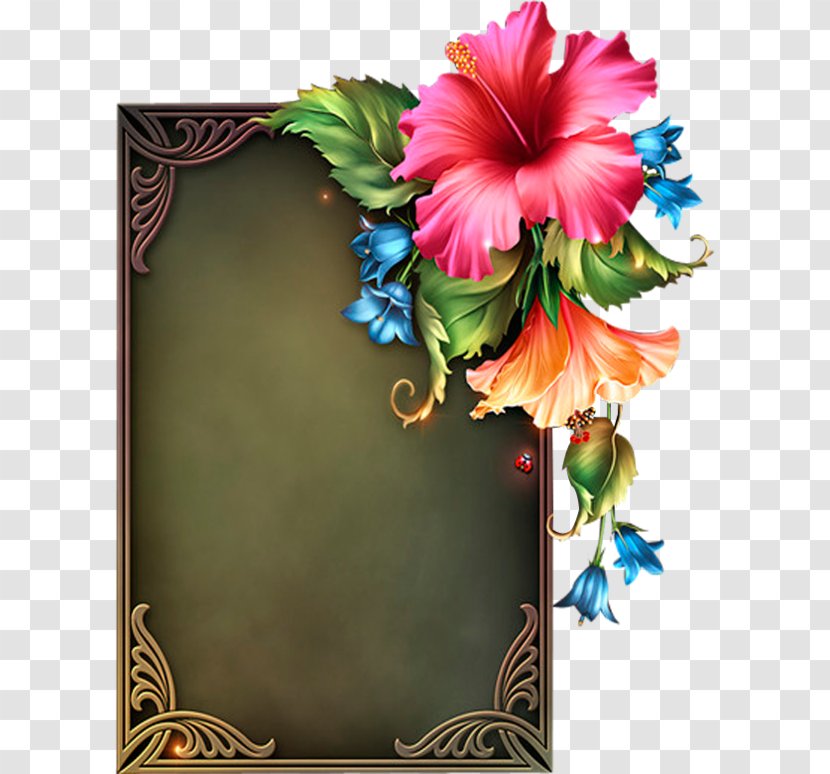 Flower Picture Frames Clip Art - Malvales Transparent PNG