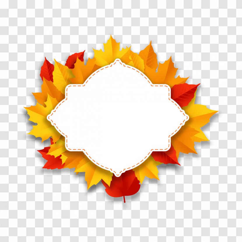 Leaf Download - Thanksgiving - Vector Autumn Maple Transparent PNG
