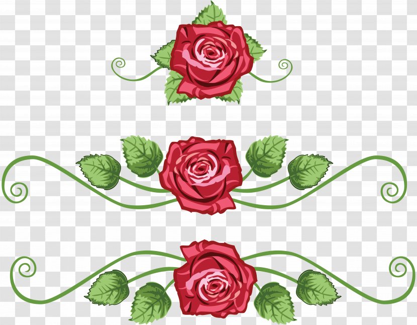 Centifolia Roses Flower Garden Clip Art - Rose - Vine Transparent PNG