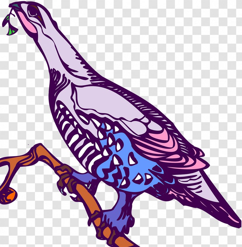 Beak Art Galliformes Animal Clip - Organism - Birds Vector Transparent PNG