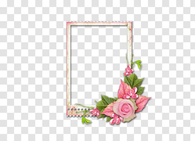 Picture Frame Flower - Petal - Floral Decorative Borders Transparent PNG