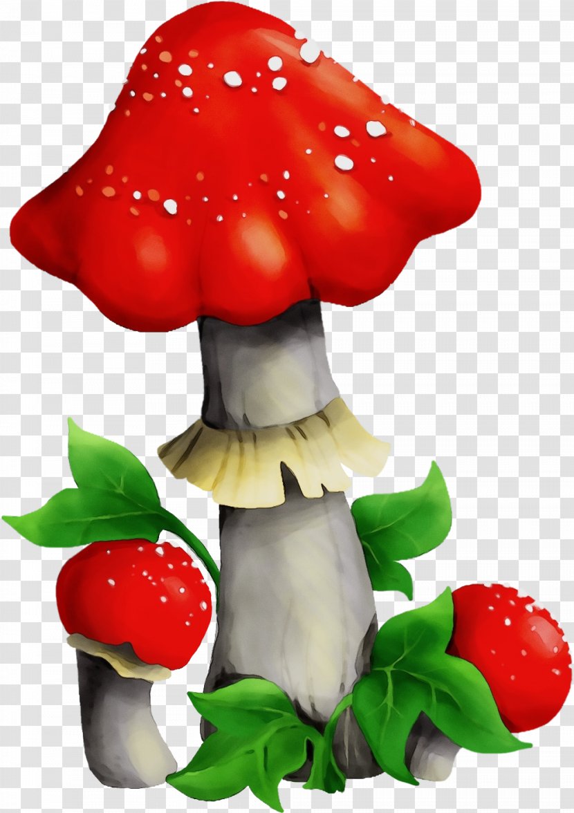 Mushroom Agaric Agaricomycetes Fungus Medicinal - Edible Plant Transparent PNG