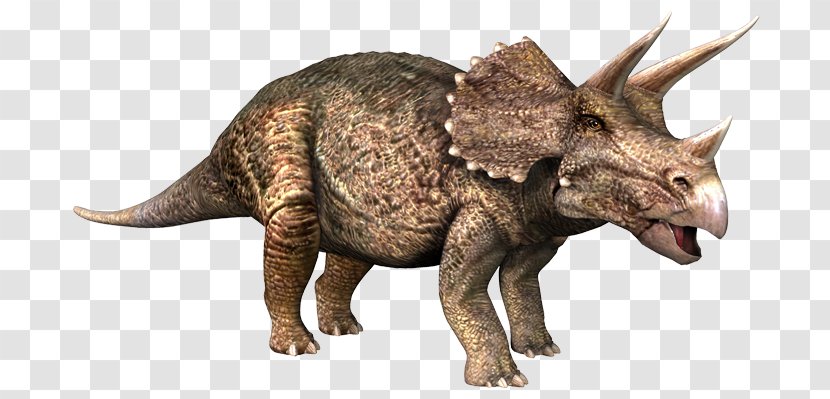 Triceratops Pachyrhinosaurus Einiosaurus Late Cretaceous - Terrestrial Animal - Dinosaur Transparent PNG