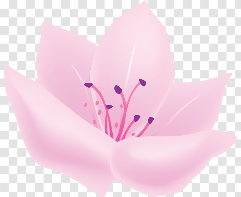Petal Flower Desktop Wallpaper Painting - Close Up Transparent PNG