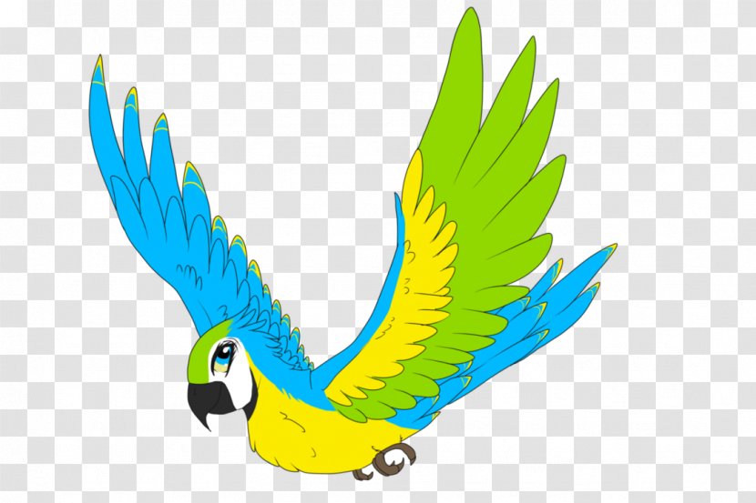 Macaw Feather Beak Parakeet Clip Art - Vertebrate Transparent PNG
