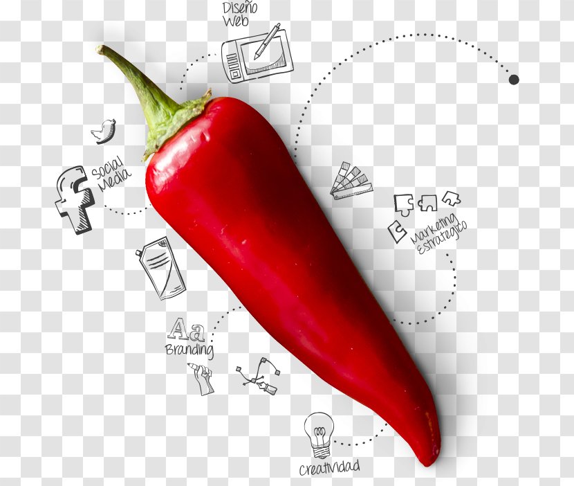 Serrano Pepper Tabasco Cayenne Chili Design - Sweet And Peppers Transparent PNG