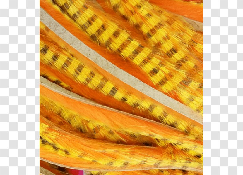 Corn On The Cob Pine Squirrel Close-up Maize - Closeup Transparent PNG