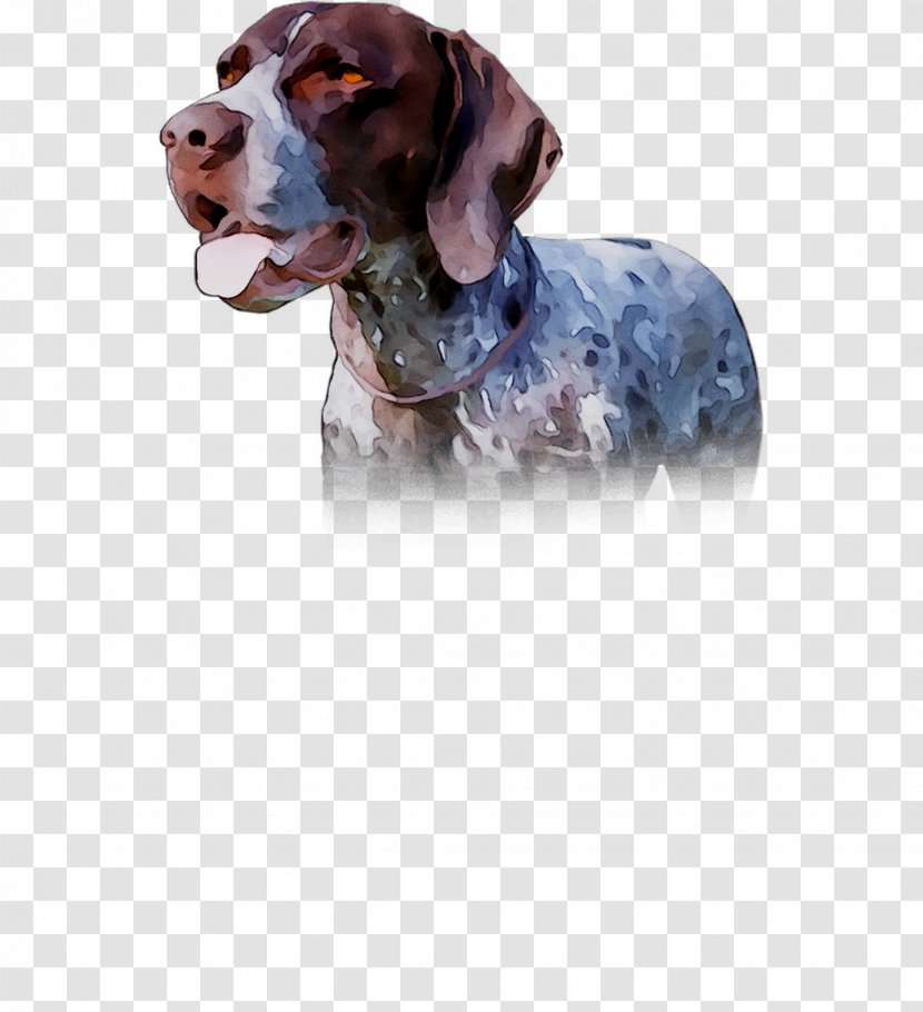 Dog Breed Spaniel Crossbreed - Cocker Transparent PNG
