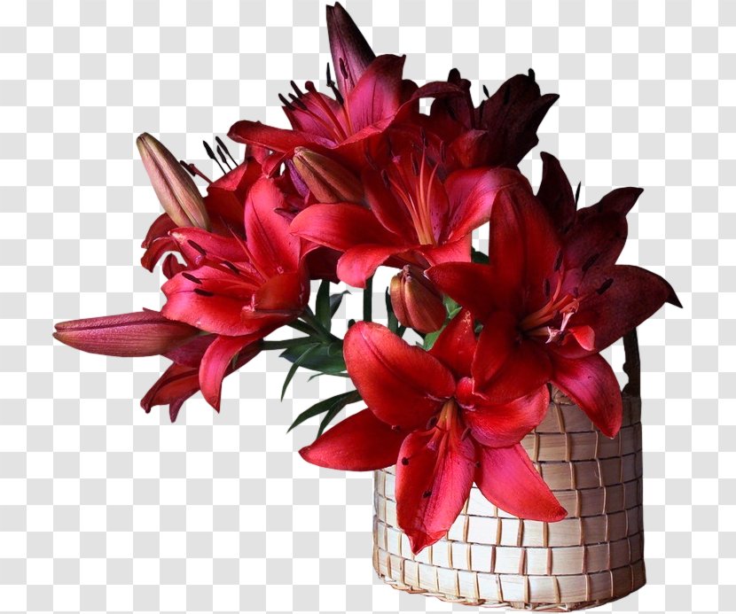 Vase Thoughts From The Mount Of Blessing Flower Bouquet - Plant - Magenta Transparent PNG