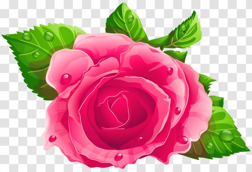 Wish Love Gift Birthday Flirting - Rose Transparent PNG
