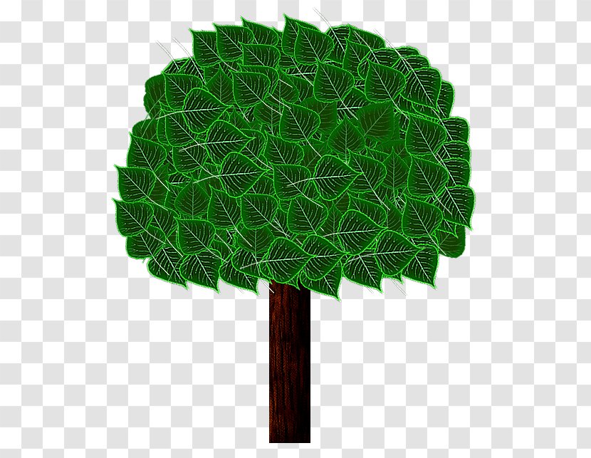 Tree 0 August Transparent PNG