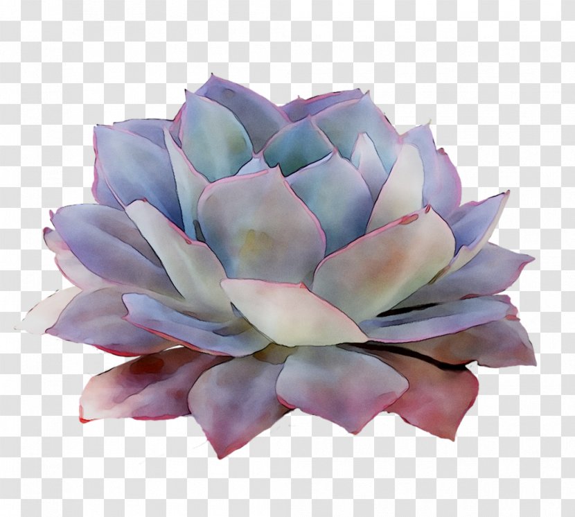 Purple Cut Flowers - Petal - Pink Transparent PNG