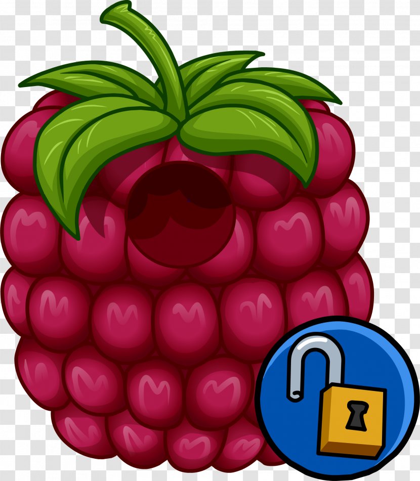 Club Penguin Fruit Food Disguise Clothing - Raspberry Transparent PNG