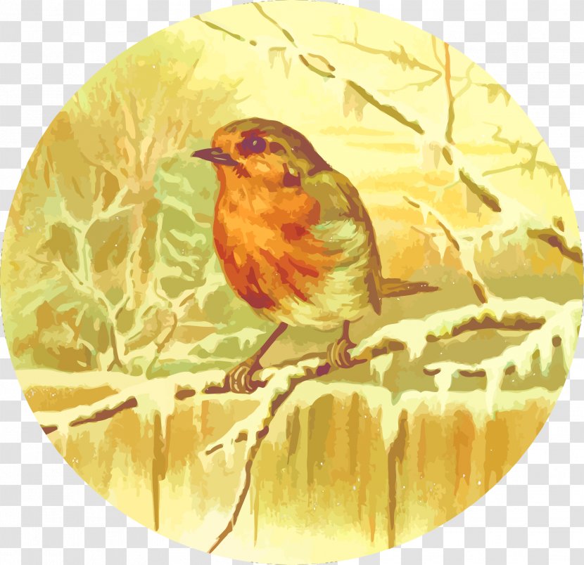 Bird Illustrator Illustration - Vector Winter Birds Transparent PNG