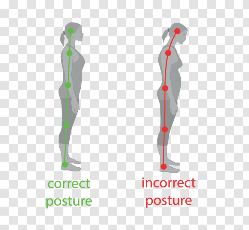 Neutral Spine Poor Posture Standing Human Body Vertebral Column - Shoulder Transparent PNG