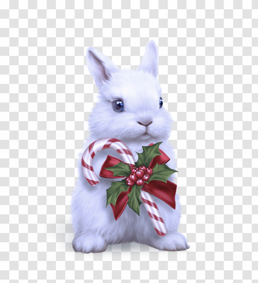 Easter Bunny Transparent PNG