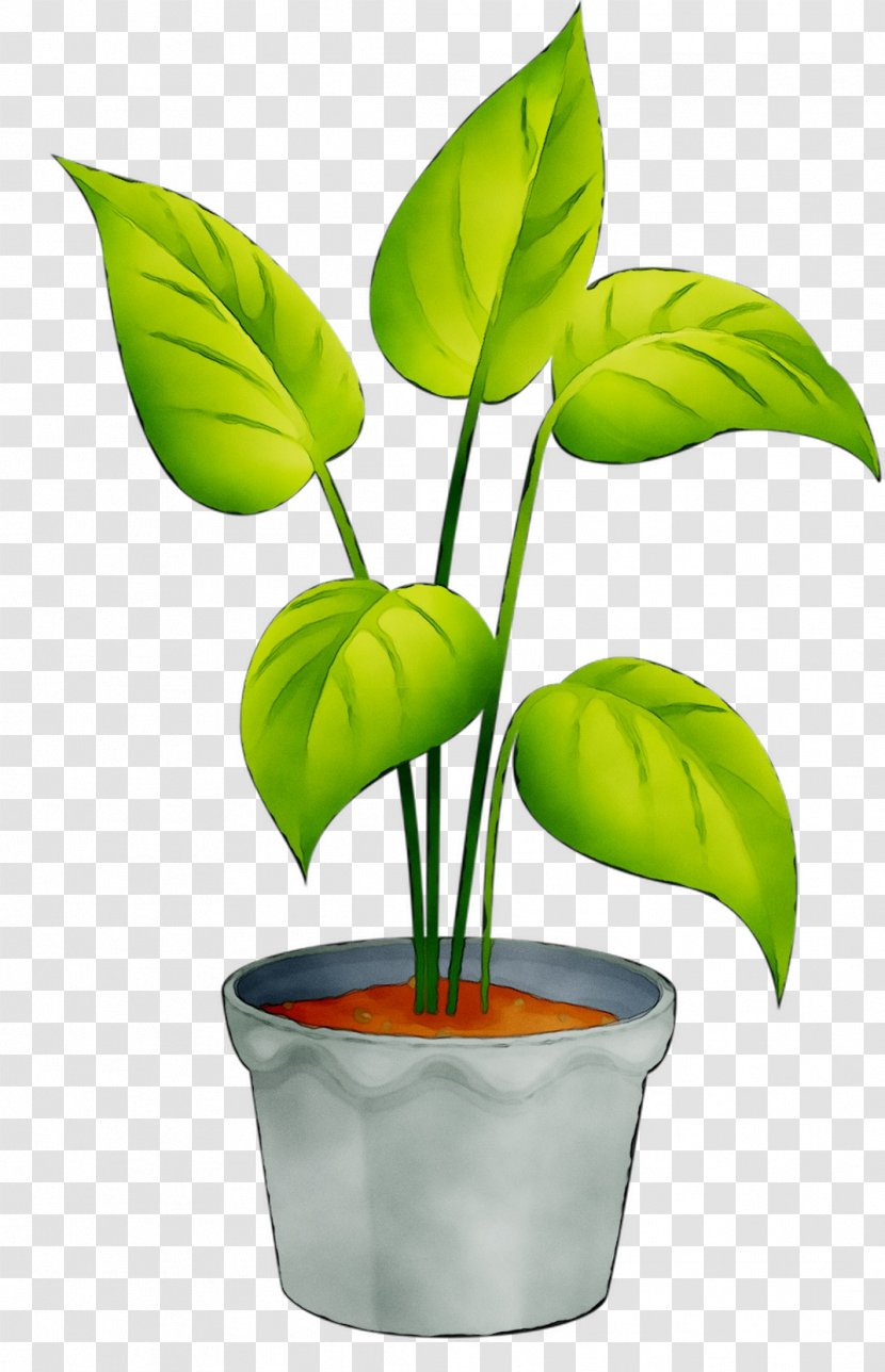 Leaf Flowerpot Plant Stem Houseplant - Nepenthes Transparent PNG