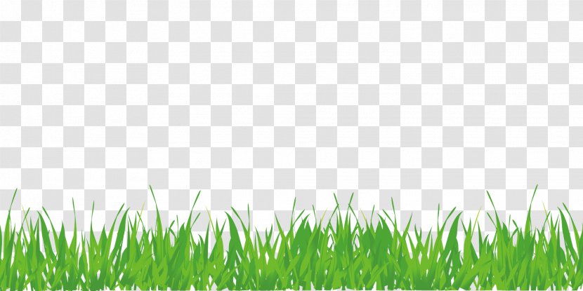 Lawn Green Grass - World Wide Web - Free Buckle Creative Transparent PNG