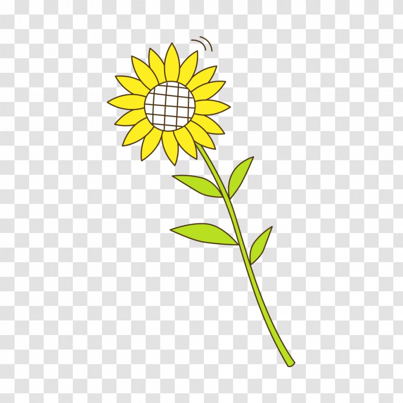 Sunflower Seed Yellow Sunflowers Pattern - Petal Transparent PNG