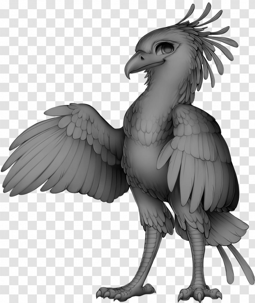 Chicken Bird Of Prey Beak Secretarybird - Monochrome Transparent PNG