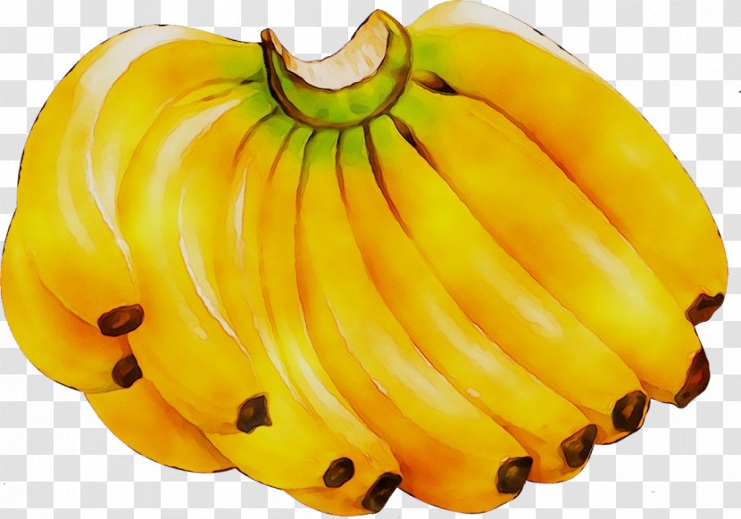 Banana Clip Art Vector Graphics Image - Plantain - Fruit Transparent PNG