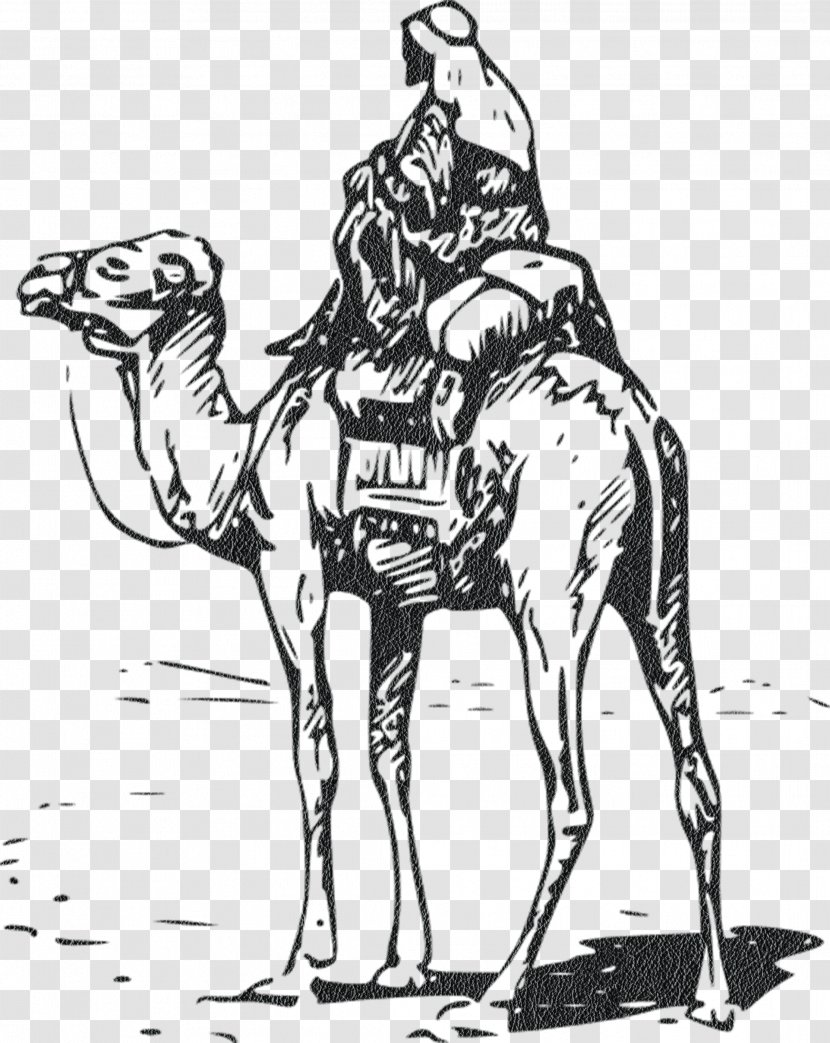 Bactrian Camel Free Content Clip Art - Tree - Hand-painted People Transparent PNG