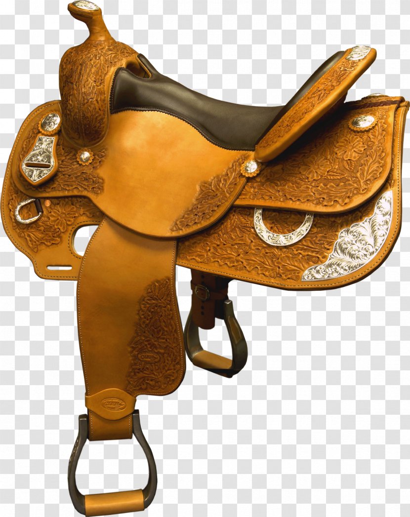 C W Wiley Custom Saddles Piping And Plumbing Fitting Driving Range Fee - Barb Horse Transparent PNG