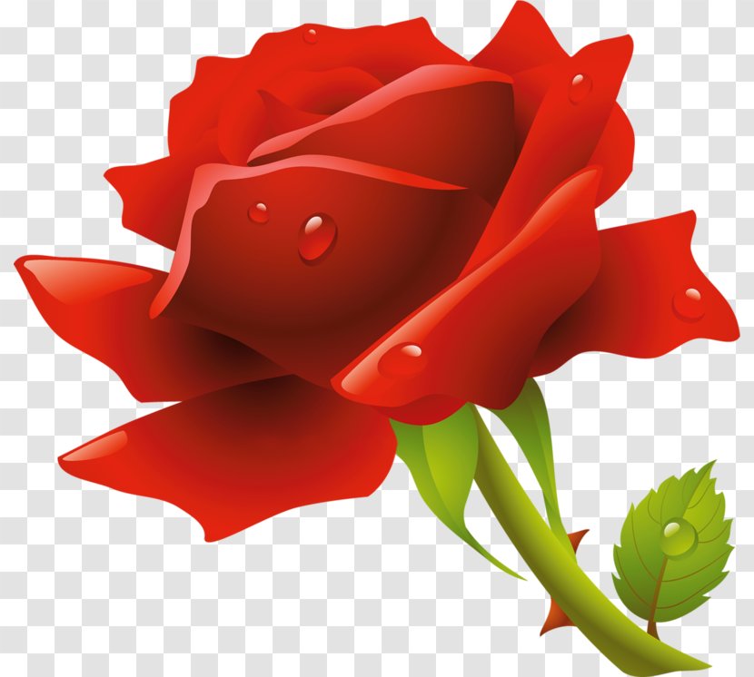 Rose Clip Art - Plant Transparent PNG