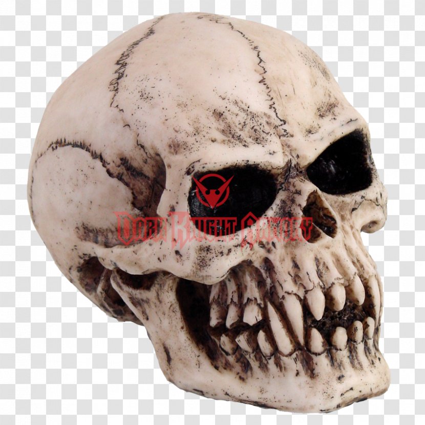 Skull Vampire Skeleton Totenkopf Goth Subculture Transparent PNG
