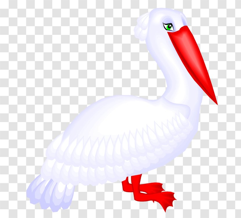 Windows Metafile Pelican Clip Art - Bird Transparent PNG