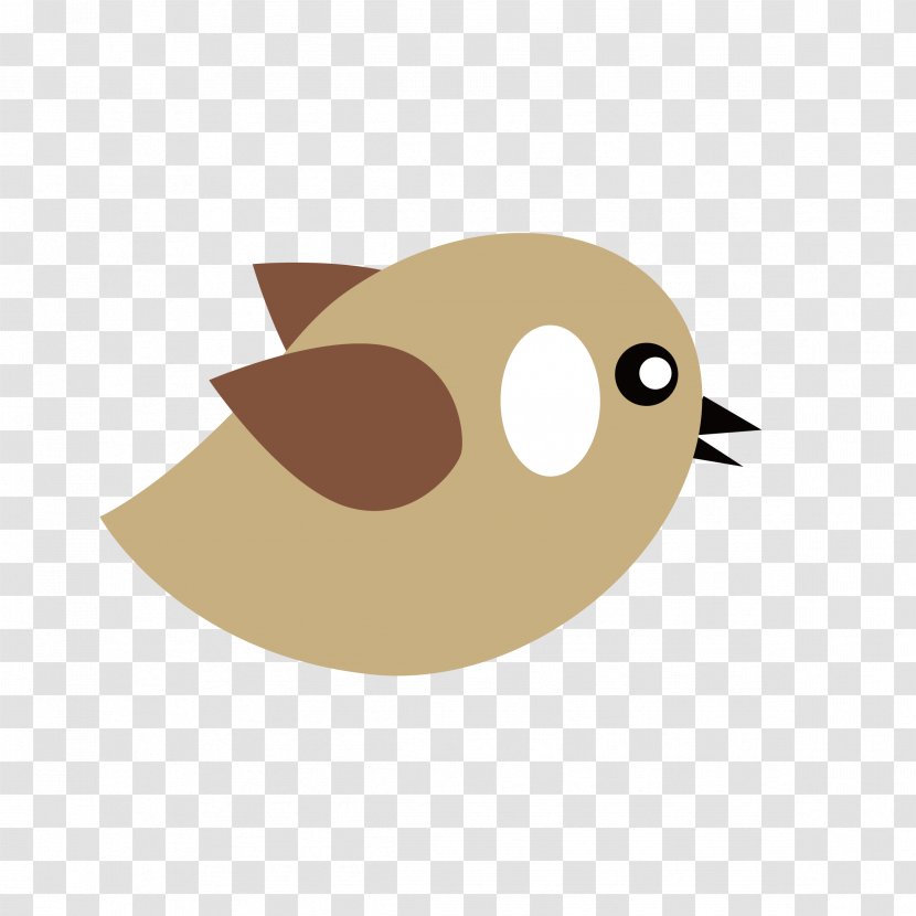 Bird Cartoon Animation Illustration - Birds Transparent PNG