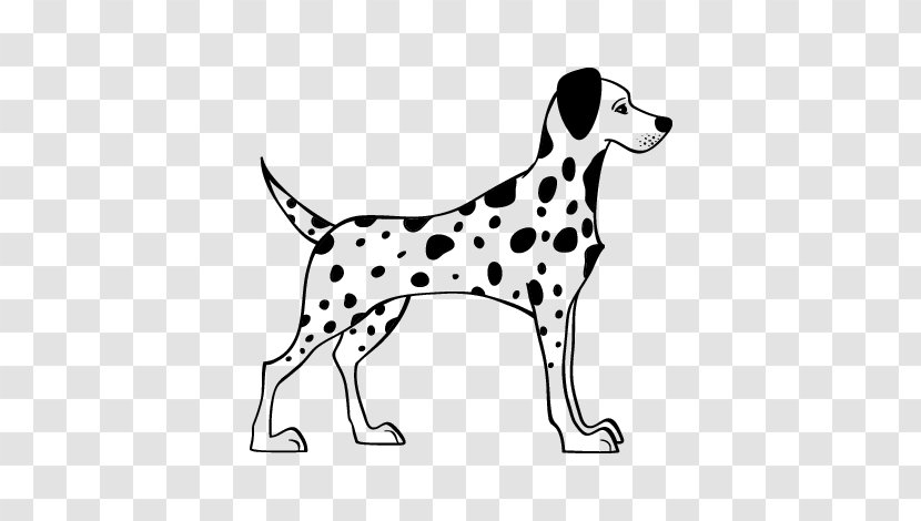 Dalmatian Dog English Cocker Spaniel Breed Drawing - Animal Transparent PNG