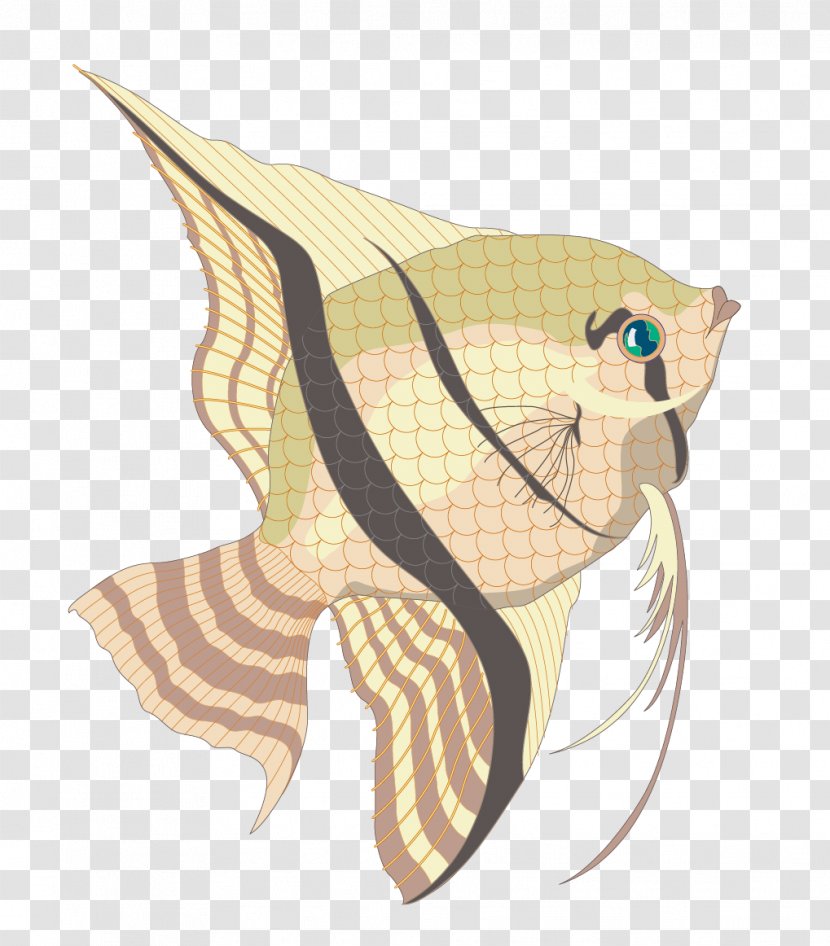 Ornamental Fish Marine Biology - Vector Plaid Material Transparent PNG