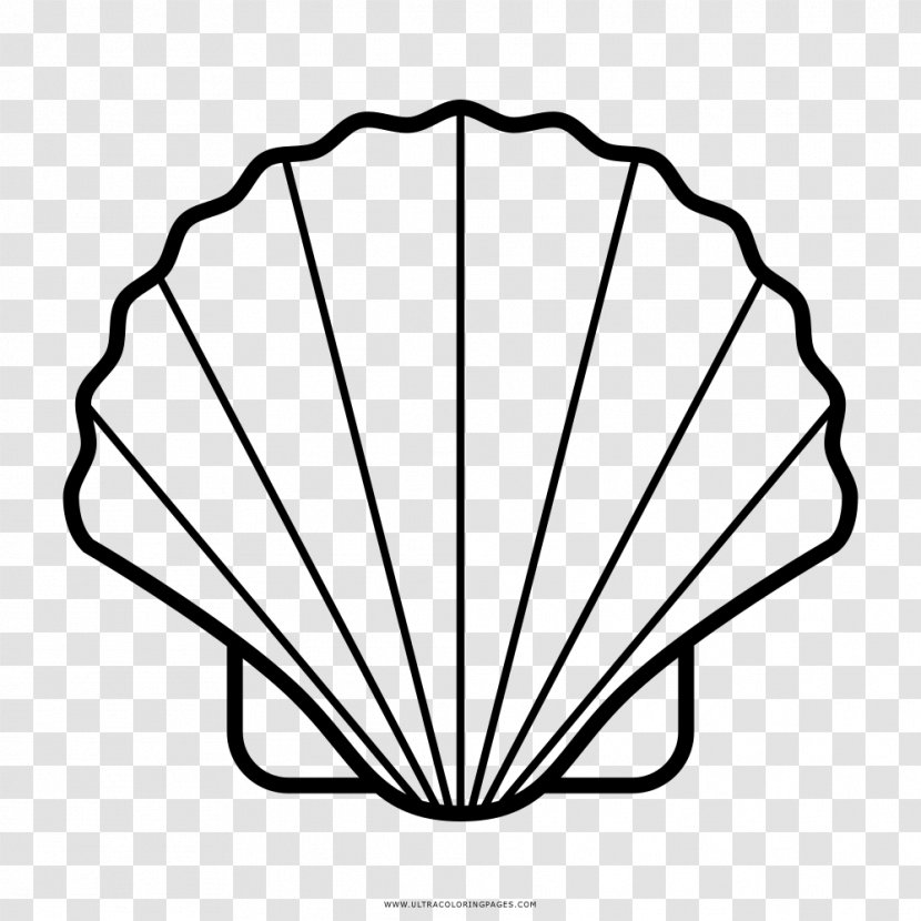 Seashell Drawing Wind Wave - Black And White - Sea Transparent PNG