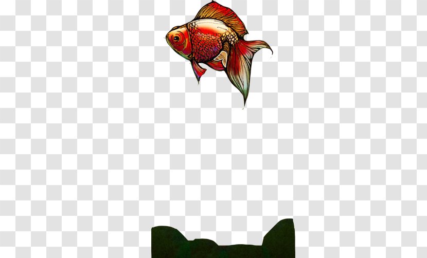 Carassius Auratus Download Illustration - Pollinator - Goldfish Swimming FIG Creative Image Transparent PNG