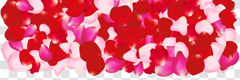 Petal Pink Flowers Rose Clip Art - Petals Drift Transparent PNG