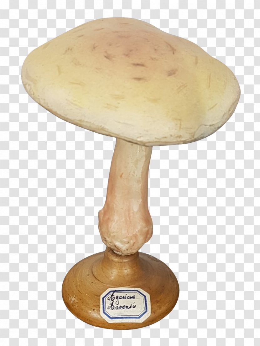 Mushroom - Fungi Transparent PNG