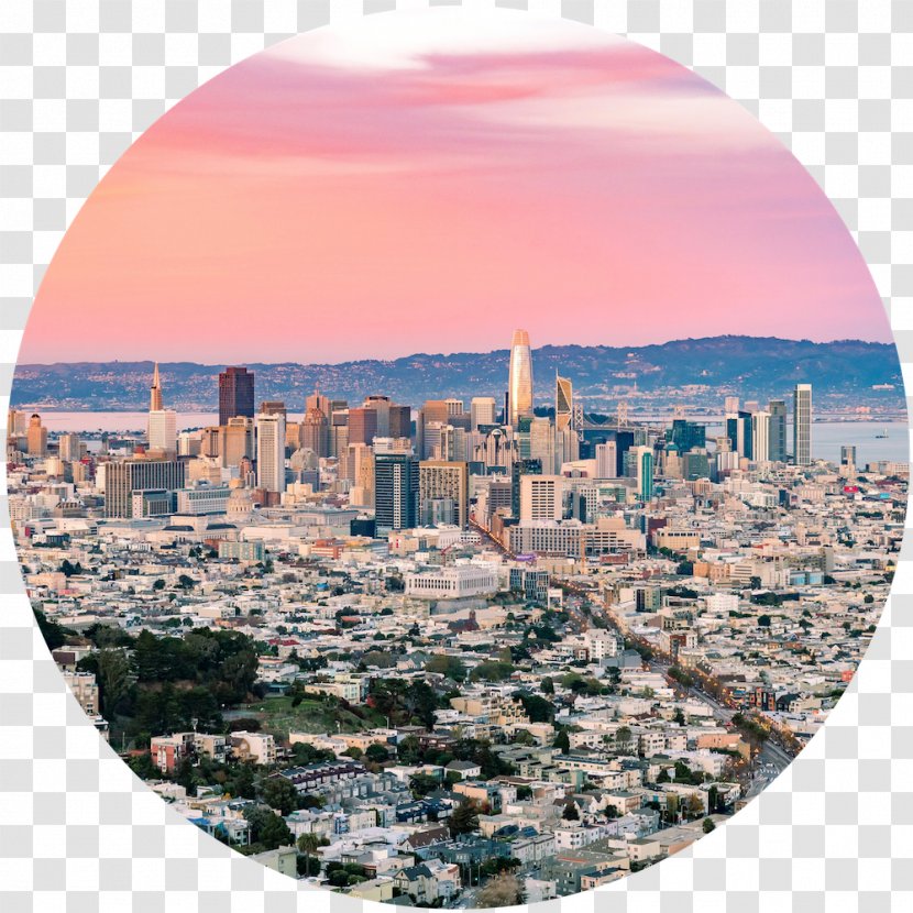 San Francisco Real Estate House 0 Organization - Muir Woods Transparent PNG