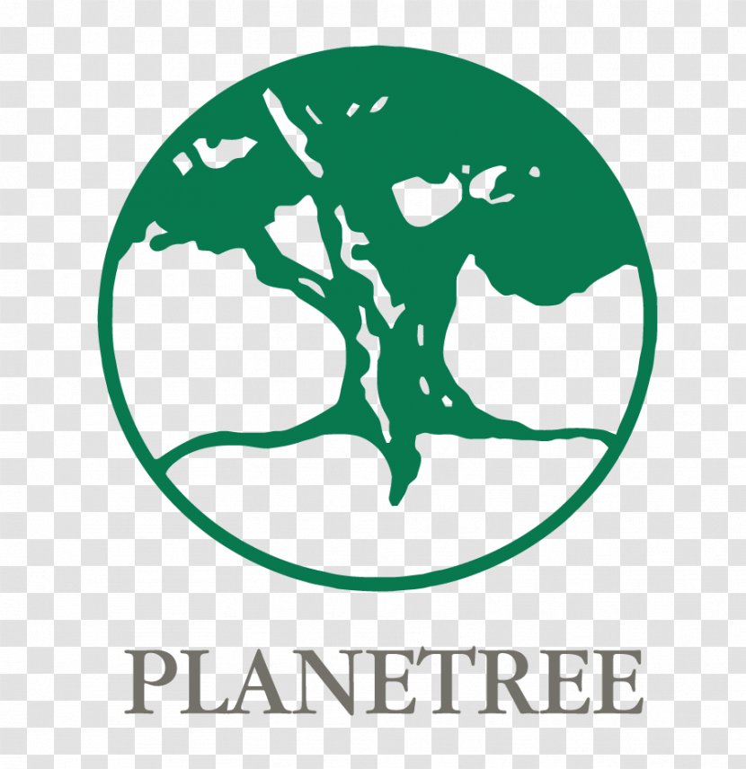 Planetree Inc Health Care Organization Hospital Patient - Personal Record - Overlooking The Tree Transparent PNG