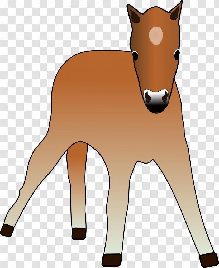 Foal Horse Colt Mare Pony Transparent PNG