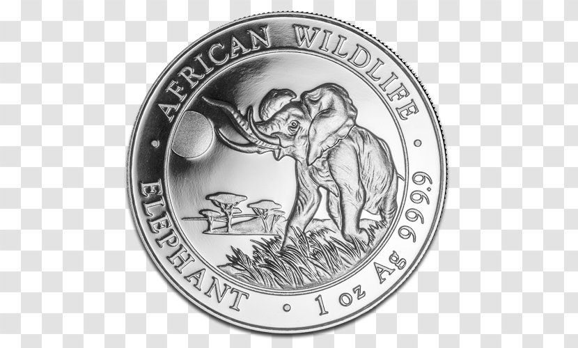 African Elephant Elephantidae Silver Coin Bullion - Gold Transparent PNG