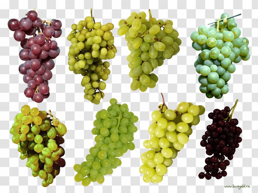 Common Grape Vine Fruit Varenye - Produce - Image Download Picture Transparent PNG