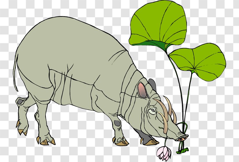 Pig Common Warthog Clip Art - Babirusa Transparent PNG